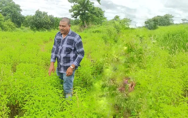 Alok Pattnaik at his farm in Keonjhar, Odisha