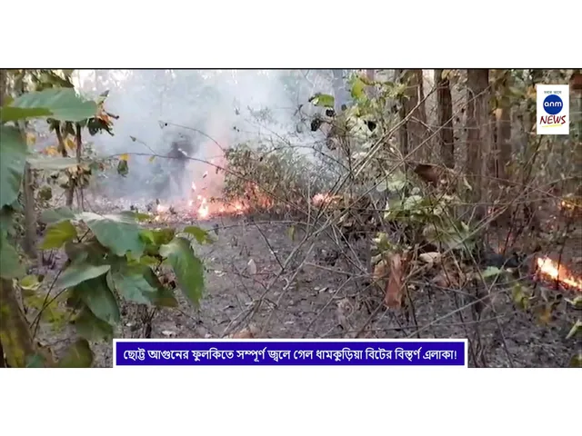 WhatsApp Image 2025-03-07 at 19.17.57