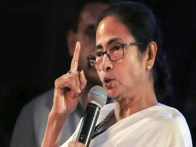 mamata new year.jpg