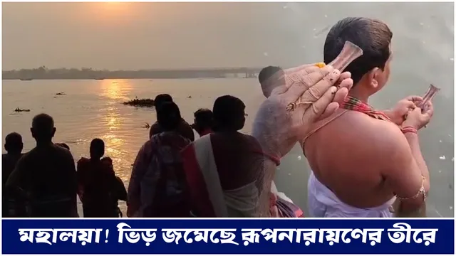 নননন