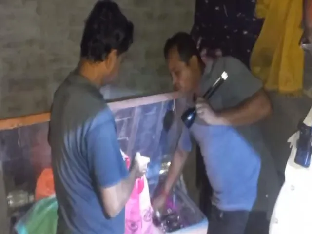 vbnbv15