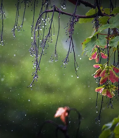 rain-photography