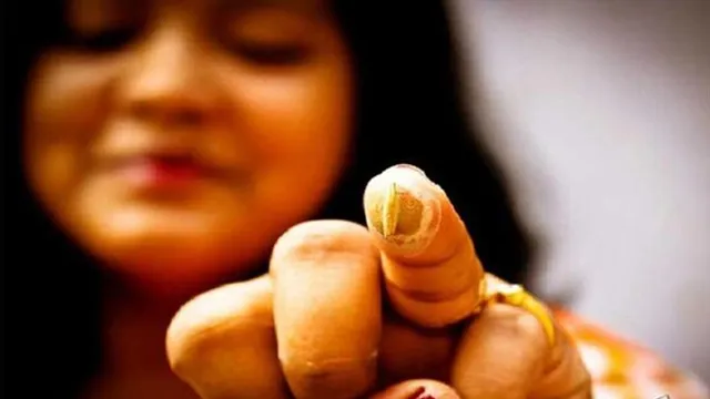 Why curd and sandalwood used for Bhai Dooj Tika?