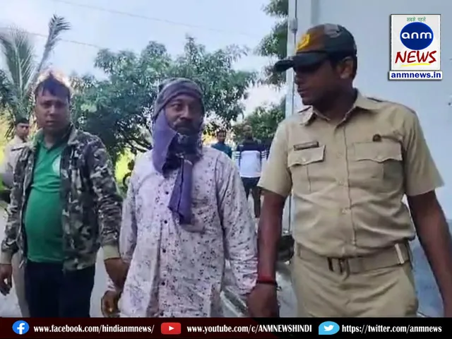 crime news 2811