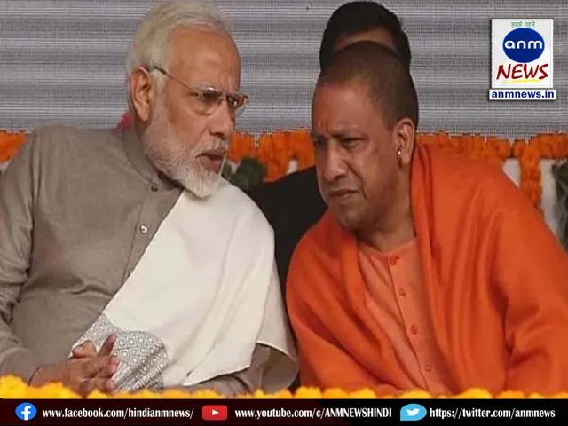yogi
