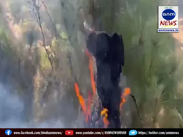 forest fire