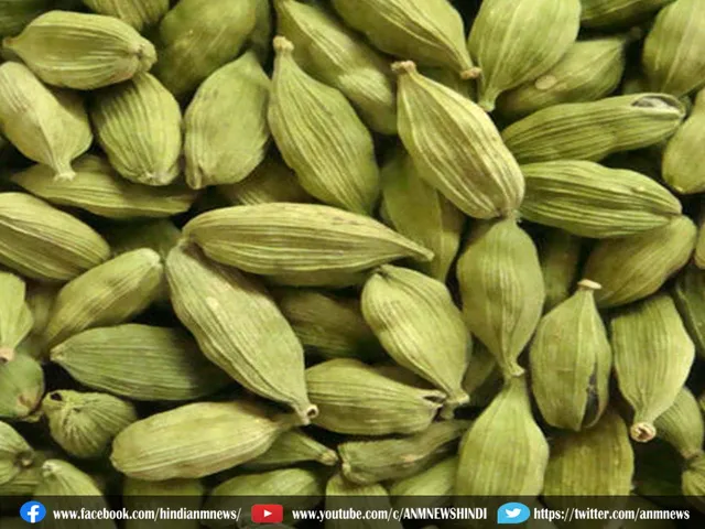green cardamom