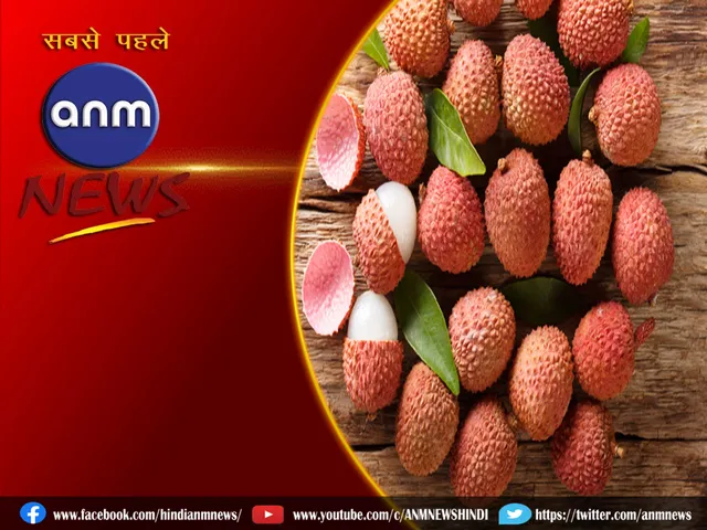 litchi bene