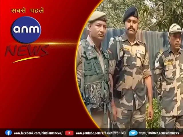 bsf