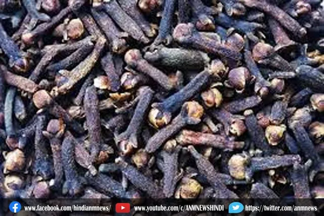 इस प्रकार करे मिलावटी लौंग की पहचान