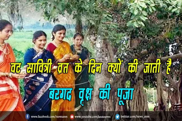 वट सावित्री व्रत के दिन क्यों की जाती है वट वृक्ष की पूजा