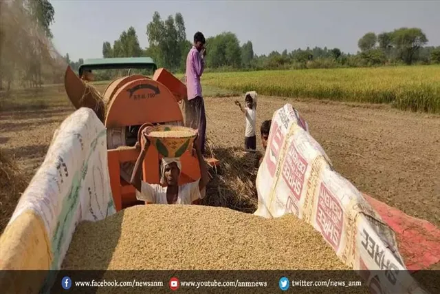 धान खरीद प्रक्रिया को तुरंत गति नहीं मिलने पर हो सकती है परेशानी