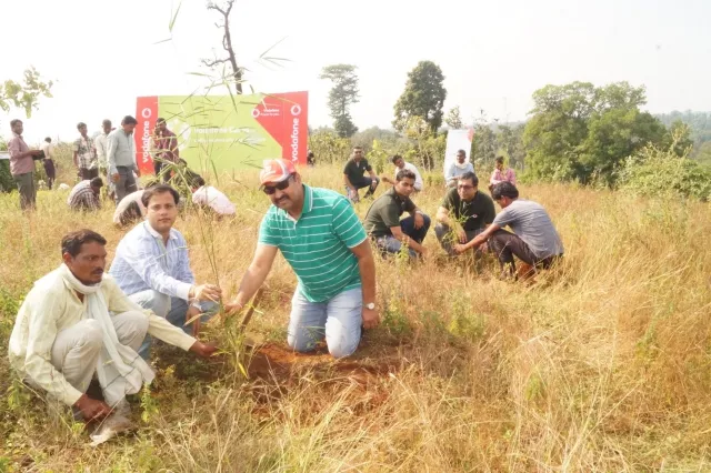 Greener Wildlife Corridor Between Kanha - Pench Courtesy Vodafone CSR Initiative