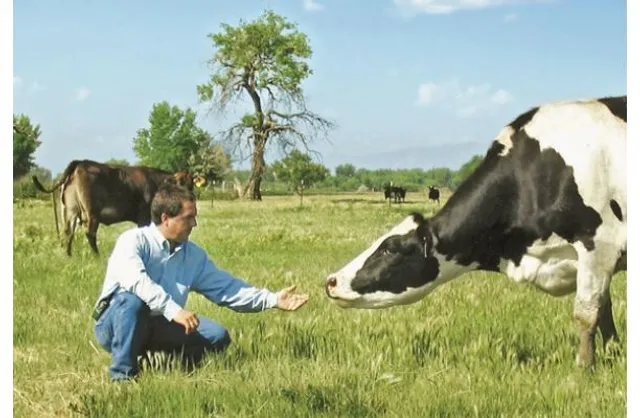 Sustainability, Innovation, Cows, Milk & Reporting