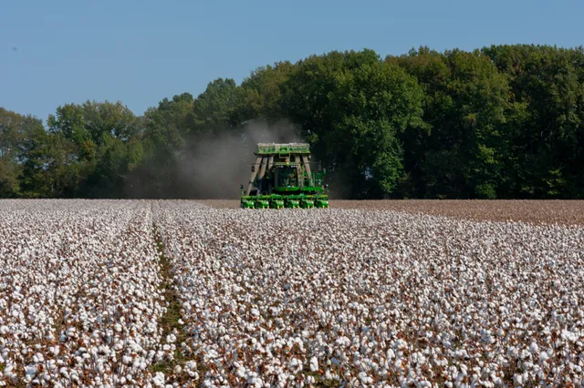 Cotton Council International Celebrates First Ever Virtual Cotton Day India with Focus on Sustainability, Greener World And stronger Indian-US Ties