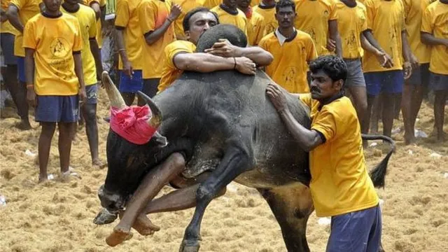 Tradition before Business; We Want Jallikattu: Madurai IT Dealers