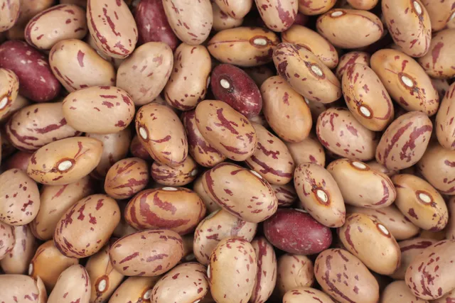 how different age groups should consume Cranberry beans 