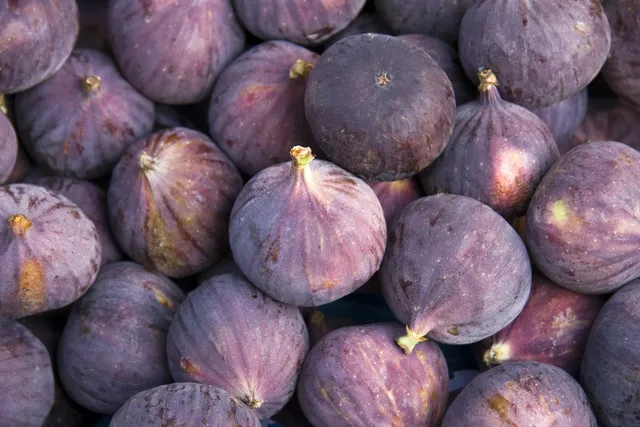 Health Benefits of Figs