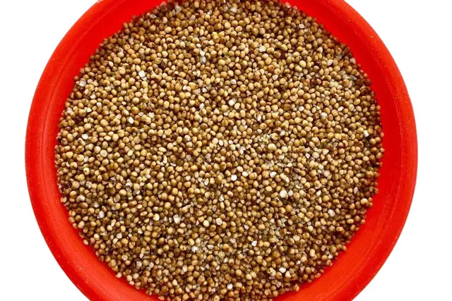 benefits of kodo millet