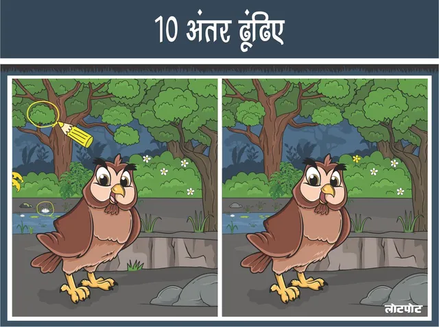 Find 10 Differences Fun Owl Picture Search