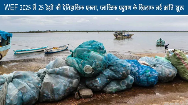 WeF 2025 has a new revolution against historical unity of 25 countries, new revolution against plastic pollution