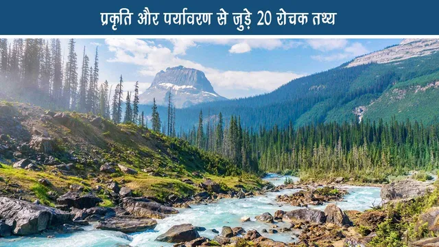 20 interesting facts related to nature and environment
