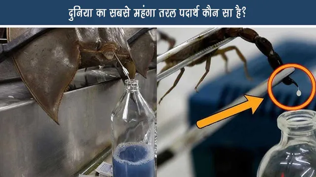 Which is the world's most expensive fluid?