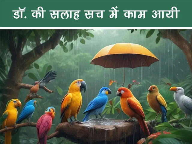 cartoon image of jungle birds in rain