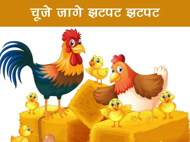 Chicken Family