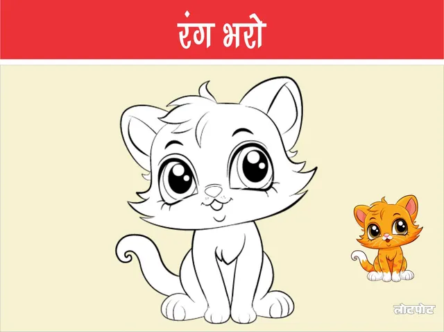 Color Orange Cat World