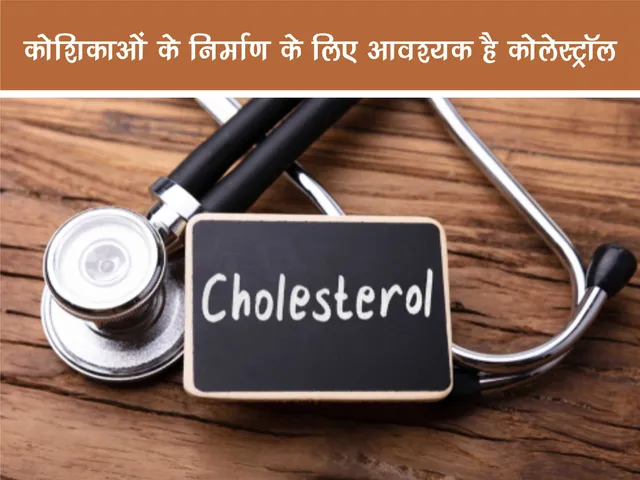 Cholesterol Facts