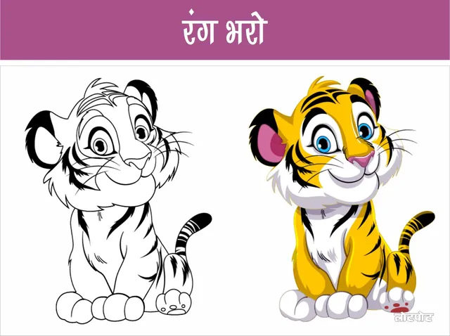 color and learn