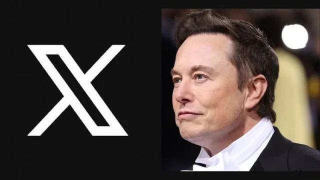 Elon