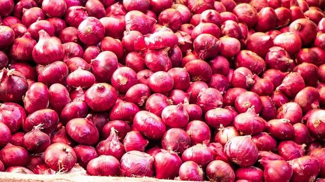 Govt lifts onion export ban; imposes minimum export price of USD 550/tonne