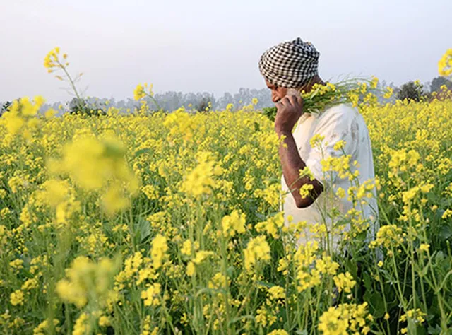 GM Mustard: Government rebuts claims on regulatory lapse in appraisal
