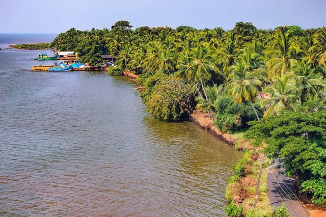 Goa govt's reluctance to declare state's forests as tiger reserve 'nail in the coffin' for Mhadei river: Outfit