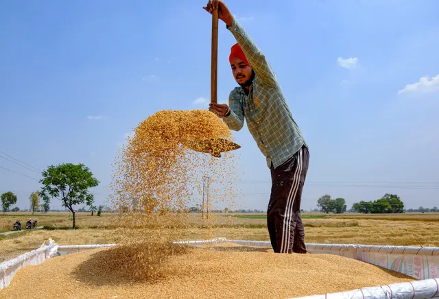 Wheat procurement up 12% at 111 lakh tonne so far in FY 2023-24