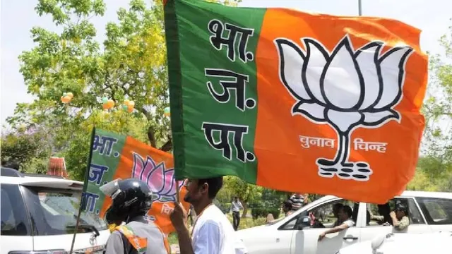 BJP Flag BJP Party