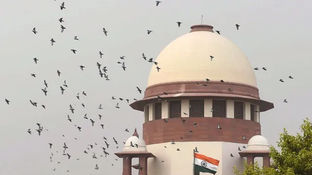 Judiciary Supreme Court of India SCI