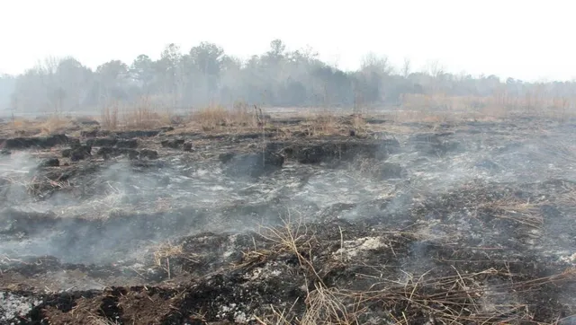 Peat fires.jpg