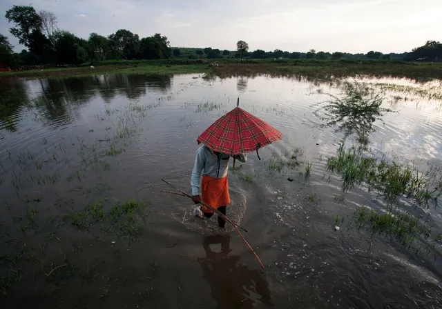 Climate Agriculture farmer