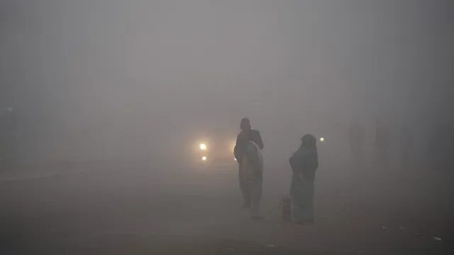 Dense fog in UP