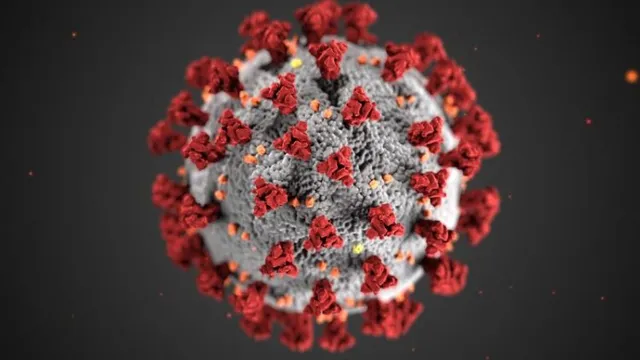 India logged 5,108 new coronavirus infections; with 19 fatalities