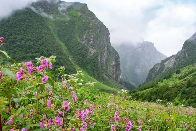 World famous valley of flowers to open on Wednesday