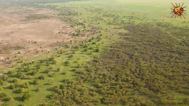 Sahara Desert