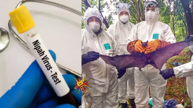 Nipah Virus Outbreak In Kerala.png