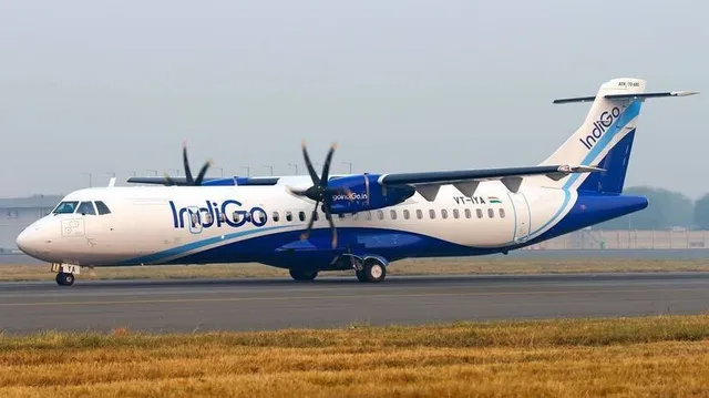 Indigo