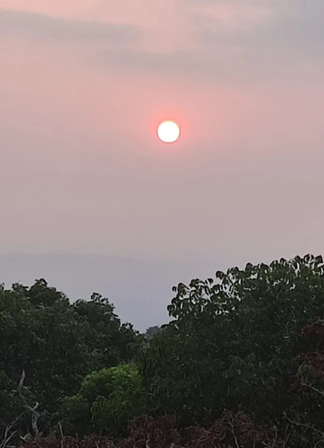 Agasthyakoodam | Karthika S