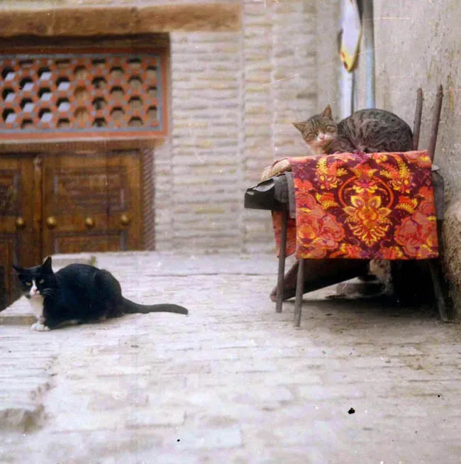 Sajan G | Travelogue  