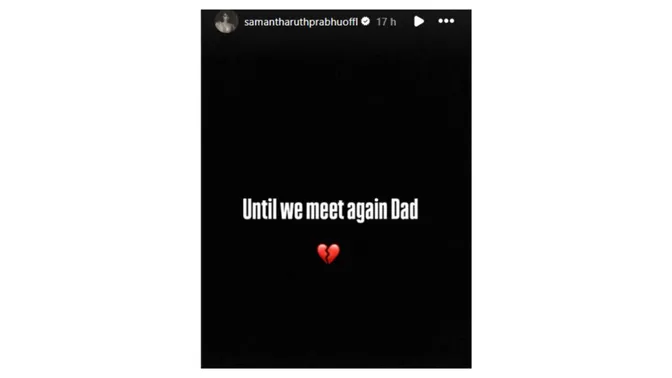 MixCollage-30-Nov-2024-10-16-AM-686